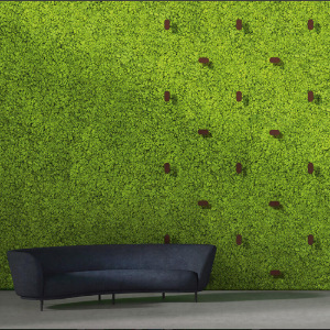 Twinkles for Green Walls